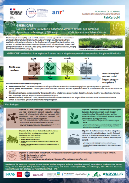 GREENSCALE(1).png