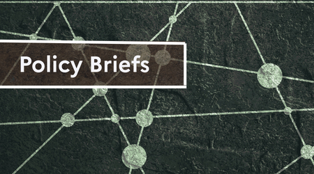 Policy Briefs (2).png