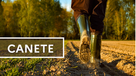 CANETE / Axe 2